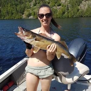 Meet your Posher, Annie